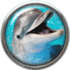 Smiling dolphin