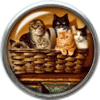 Basket of cats