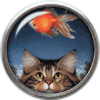 Cat staring at a fish